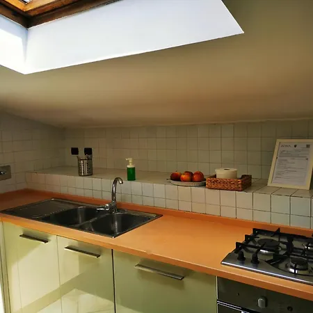 Attic Garden