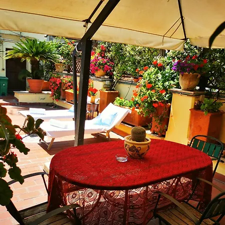 Gasthof Attic Garden *