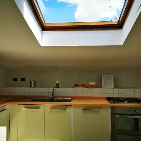 Attic Garden