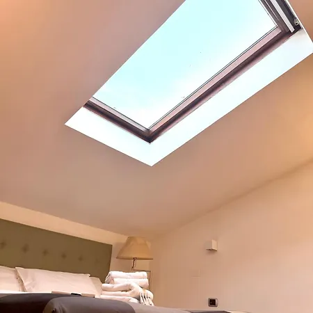 Attic Garden