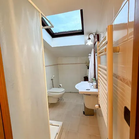 Attic Garden