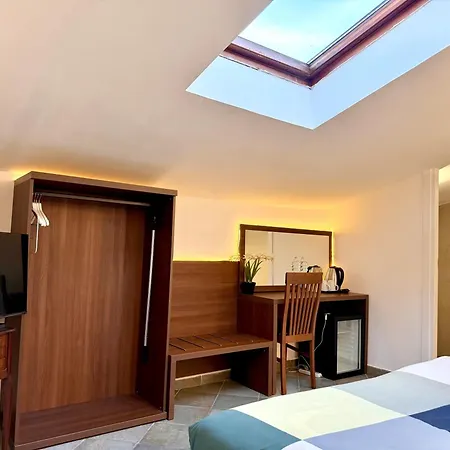 Attic Garden